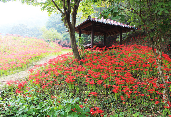 함평꽃무룻공원 [사진=함평군]