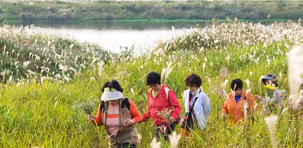 사진=광주광역시