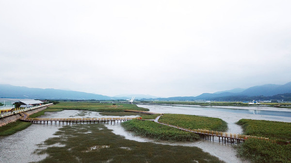 강진만 생태공원[사진=강진군]