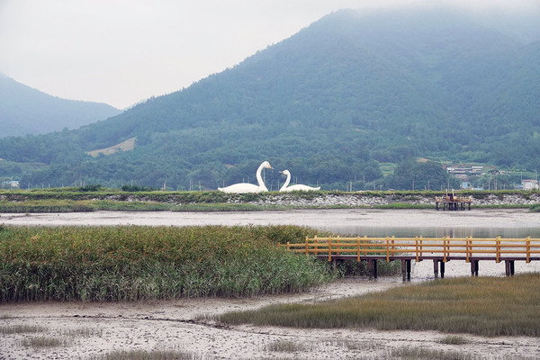 강진만 생태공원모습[사진=강진군]