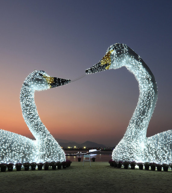 강진만 생태공원야경[사진=강진군]