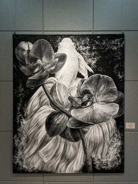 ▲영광 불갑산 산림박물관 전시실에서 진행중인(바라보기 베타시리즈4) 전시